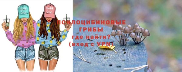 гашик Лагань