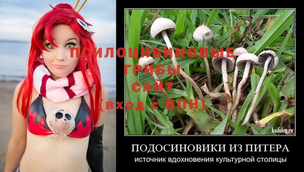 гидра Лабытнанги