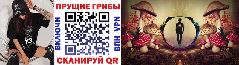 Псилоцибиновые грибы Psilocybine cubensis  Купить закладки  Видное 